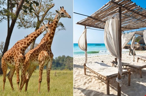 Strand en safari huwelijksreis? Explore Tanzania!